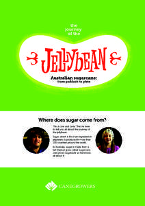 Where does sugar come from? This is Joe and Jana. They’re here to tell you all about the journey of the jellybean. Sugar, which is the main ingredient in jellybeans, is produced in more than