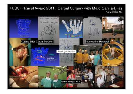 FESSH Travel Award 2011: Carpal Surgery with Marc Garcia-Elias Kai Megerle, MD Cutting Edge Carpal Surgery  Stimulating Research