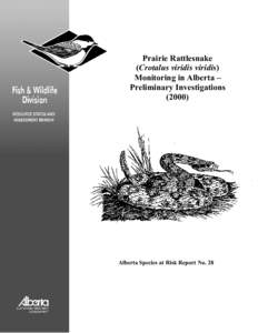 Prairie Rattlesnake (Crotalus viridis viridis) Monitoring in Alberta – Preliminary Investigations (2000)
