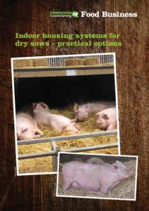 Animal rights / Agriculture / Gestation crate / Pork / Statement of work / Wild boar / Domestic pig / Pig farming / Animal welfare / Zoology / Livestock / Animal cruelty