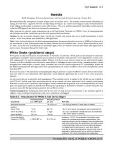 Turf: Insects 6-5  Insects Rod R. Youngman, Extension Entomologist, and Curt Laub, Research Associate, Virginia Tech Recommendations for management of major turfgrass pests are outlined below. The remarks column contains