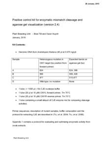 Chemistry / TILLING / Polymerase chain reaction / Agar / Primer / Restriction fragment length polymorphism / Biology / Molecular biology / Biochemistry