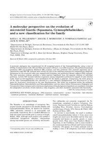 Mitochondrial DNA / Pantodactylus / Gymnophthalmidae / Lizards / Bachia