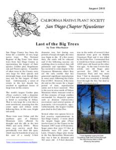 AugustLast of the Big Trees by Tom Oberbauer San Diego County has been the home for a number of very large