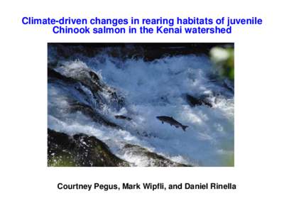 Climate-driven changes in rearing habitats of juvenile Chinook salmon in the Kenai watershed Courtney Pegus, Mark Wipfli, and Daniel Rinella  The Big Picture