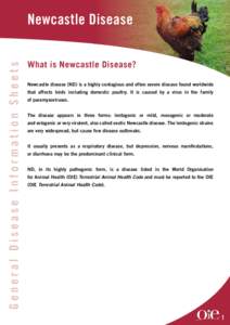General Disease Information Sheets  Newcastle Disease What is Newcastle Disease? Newcastle disease (ND) is a highly contagious and often severe disease found worldwide that affects birds including domestic poultry. It is