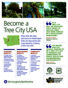 Tree / Renton /  Washington / Environment of the United States / Forestry / Tree City USA