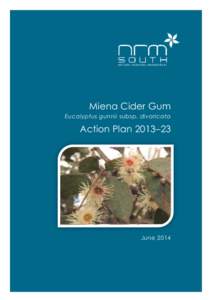 Miena Cider Gum Eucalyptus gunnii subsp. divaricata Action Plan 2013–23  June 2014