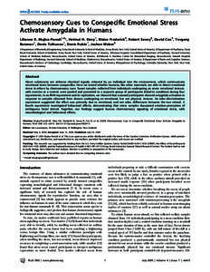 Chemosensory Cues to Conspecific Emotional Stress Activate Amygdala in Humans Lilianne R. Mujica-Parodi1,2*, Helmut H. Strey1, Blaise Frederick3, Robert Savoy4, David Cox5, Yevgeny Botanov1, Denis Tolkunov1, Denis Rubin1