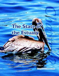 CHAPTER TWO: THE STATE OF THE ESTUARY AN ESTUARY IS A COASTAL AREA where fresh water flowing from rivers and