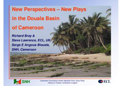 New Perspectives – New Plays in the Douala Basin of Cameroon Richard Bray & Steve Lawrence, ECL, UK Serge E Angoua Biouele,