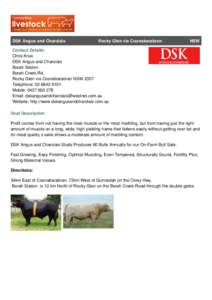 DSK Angus and Charolais  Rocky Glen via Coonabarabran NSW