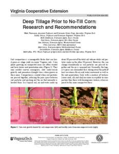 publication[removed]Deep Tillage Prior to No-Till Corn: Research and Recommendations Wade Thomason, Assistant Professor and Extension Grain Crops Specialist, Virginia Tech Bobby Grisso, Professor and Extension Engineer,