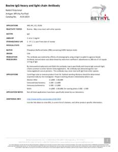 Bovine IgG-heavy and light chain Antibody Rabbit Polyclonal Antigen Affinity Purified Catalog No. A10-102A