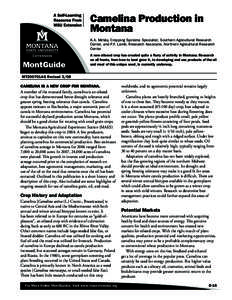 Camelina Production in Montana K.A. McVay, Cropping Systems Specialist, Southern Agricultural Research Center, and P.F. Lamb, Research Associate, Northern Agricultural Research Center