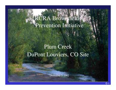 RCRA Brownfields Prevention Initiative Plum Creek DuPont Louviers, CO Site