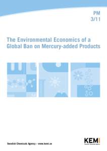 PM 3/11 The Environmental Economics of a Global Ban on Mercury-added Products