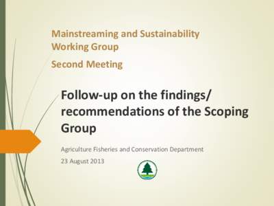 Mainstreaming and Sustainability Working Group Second Meeting Follow-up on the findings/ recommendations of the Scoping