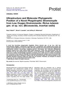 Ultrastructure and Molecular Phylogenetic Position of a Novel Phagotrophic Stramenopile from Low Oxygen Environments Rictus lutensis gen. et sp. nov. (Bicosoecida, incertae sedis)