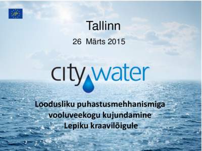 Tallinn 26 Märts 2015 Loodusliku puhastusmehhanismiga vooluveekogu kujundamine Lepiku kraavilõigule