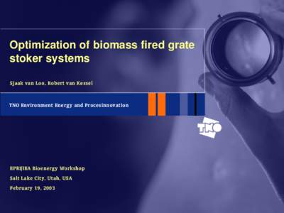 Optimization of biomass fired grate stoker systems Sjaak van Loo, Robert van Kessel TNO Environment Energy and Procesinnovation