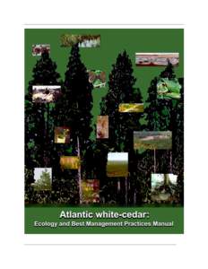 Atlantic white-cedar Ecology and Best Management Practices Manual By: Kristin A. Mylecraine and George L. Zimmermann Under the editorial guidance of the NJ Atlantic white-cedar Initiative Steering Committee  2000