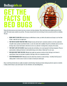 Bedbugsinfo.ca  GET THE FACTS ON BED BUGS Ontario, like other provinces and territories, has seen an increase in bed bug infestations. These small, biting insects multiply quickly and travel