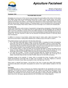 Apiculture Factsheet Ministry of Agriculture http://www.al.gov.bc.ca/apiculture Factsheet #104 THE HONEYBEE COLONY