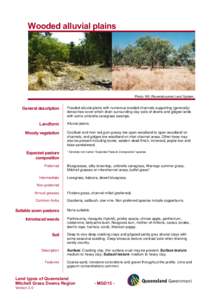 Wooded alluvial plains  Photo: W3 (Ravensbourne) Land System    General description