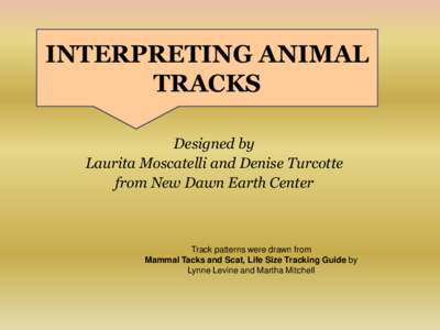 INTERPRETING ANIMAL TRACKS Designed by Laurita Moscatelli and Denise Turcotte from New Dawn Earth Center