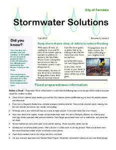 City of Ferndale  Stormwater Solutions Did you know? The City does not