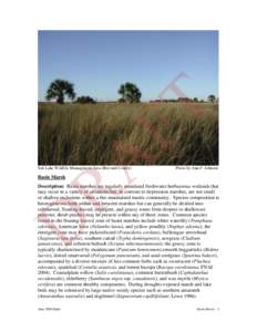 Flooded grasslands and savannas / Everglades / Coastal geography / Ecoregions / Lake Miccosukee / Wetland / Freshwater marsh / St. Johns River / Tall Timbers Research Station and Land Conservancy / Geography of Florida / Florida / Physical geography