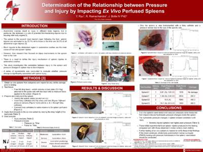 Determination of the Relationship between Pressure and Injury by Impacting Ex Vivo Perfused Spleens Y. 1 Ryu ,