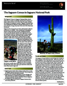 Resource Brief  National Park Service U.S. Department of the Interior Saguaro National Park Resource Management Division