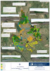 Forester  Productive (Core) Zone The main focus in these areas is carbon sequestration and economic benefits, and they will be primarily managed for timber production through clearfelling and restocking. Areas in this zo