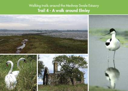 Walking trails around the Medway Swale Estuary  Trail 4 - A walk around Elmley