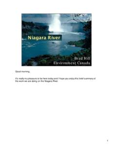 Niagara Falls / Niagara River / Triphenylene / Benzo(a)pyrene / Niagara / Lake Ontario / New York / Geography of Ontario / Canada–United States border / Polycyclic aromatic hydrocarbons / Geography of New York