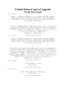 United States Court of Appeals For the First Circuit No[removed]PEDRO J. ROSSELLÓ-GONZÁLEZ; LUIS FORTUÑO; MIRIAM RAMÍREZ; NANETTE GUEVARA; ARNOLD GIL-CARABALLO; LARRY SEILHAMER; JOSÉ SÁNCHEZ; JUAN F. RAMÍREZ AND 