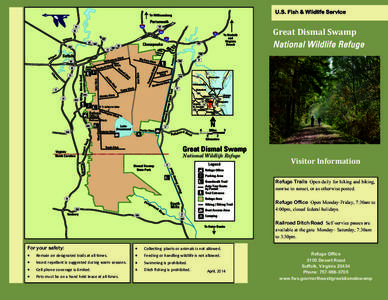 Great Dismal Swamp / Lake Drummond / Great Dismal Swamp National Wildlife Refuge / Geography of North Carolina / Geography of the United States / North Carolina