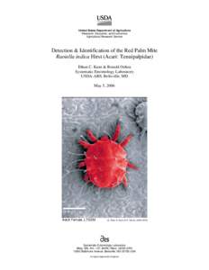 United States Department of Agriculture Research, Education, and Economics Agricultural Research Service Detection & Identification of the Red Palm Mite Raoiella indica Hirst (Acari: Tenuipalpidae)