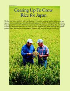 KEITH WELLER (K7577-2)  Gearing Up To Grow Rice for Japan The big tour buses rumble 2 miles up Highway 13 from the Arkansas hamlet of Humnoke and squeeze onto a small strip of paved road that disappears to the left. At t