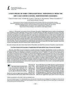 Wren / Troglodytidae / Taxonomy / Thryophilus