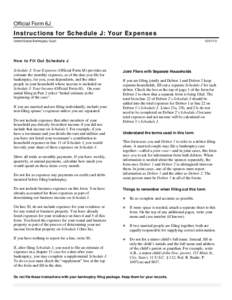 Schedule J - Current Expenditures of Individual Debtor(s)