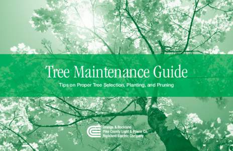 Tree Maintenance Guide Tips on Proper Tree Selection, Planting, and Pruning To Our Customers, We’re fortunate to live in an area where trees enhance our surroundings. In addition to heightening the aesthetic beauty of