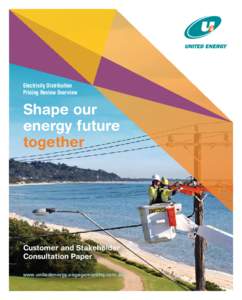 Electricity Distribution Pricing Review Overview Shape our energy future together