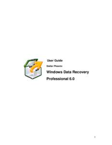 User Guide Stellar Phoenix Windows Data Recovery Professional 6.0