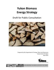 Microsoft Word - Yukon Biomass Energy Strategy for Public Consultation - FINAL.docx