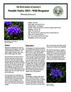    The Herb Society of America’s Notable Native[removed]Wild Bergamot Monarda fistulosa L.