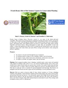 French Beans: Role of this Summer Legume in Conservation Planning  Rani G. Kumar, Girish K. Panicker* and Franklin O. Chukwuma French, Snap or Kidney beans, Phaseolus vulgaris L., are some of the oldest-cultivated vegeta