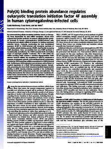 Poly(A) binding protein abundance regulates eukaryotic translation initiation factor 4F assembly in human cytomegalovirus-infected cells Caleb McKinney, Cesar Perez, and Ian Mohr1 Department of Microbiology, New York Uni